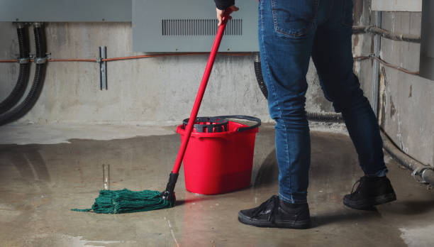 Best Commercial water damage restoration  in Wolverine Lake, MI