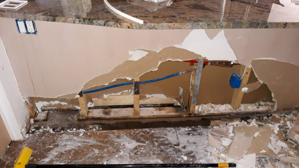 Best Water damage contractors near me  in Wolverine Lake, MI