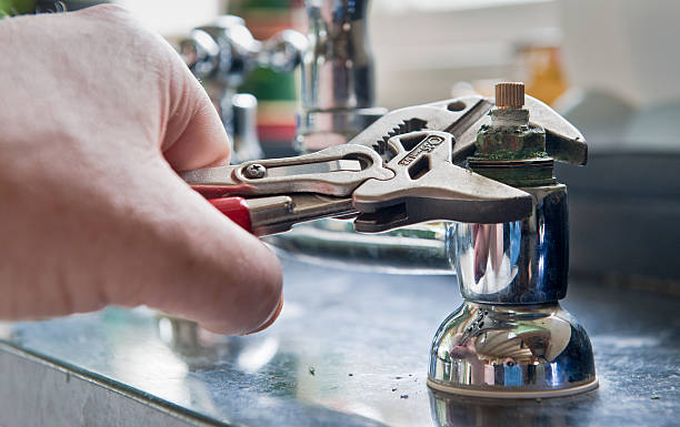 Best Water damage cleanup near me  in Wolverine Lake, MI