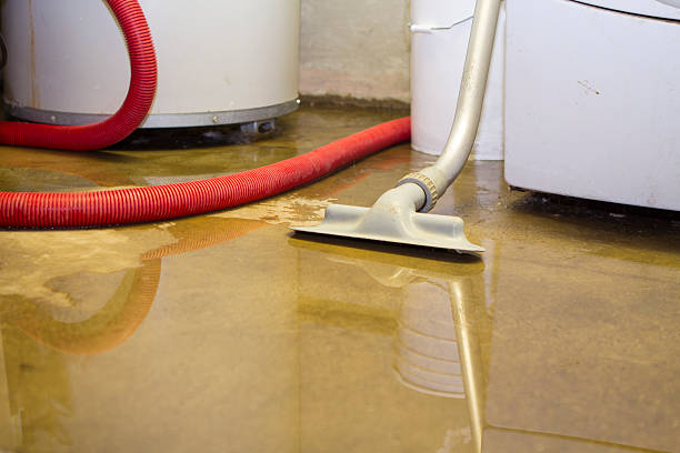 Best Water damage cleanup near me  in Wolverine Lake, MI