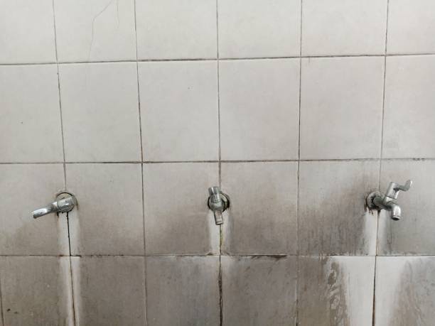 Best Local water damage restoration  in Wolverine Lake, MI