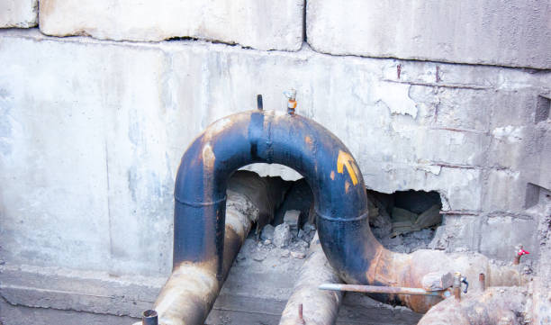 Best Mold removal after water damage  in Wolverine Lake, MI